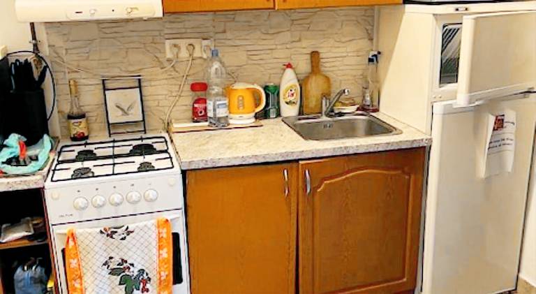 Rental apartment with yard — photo 3