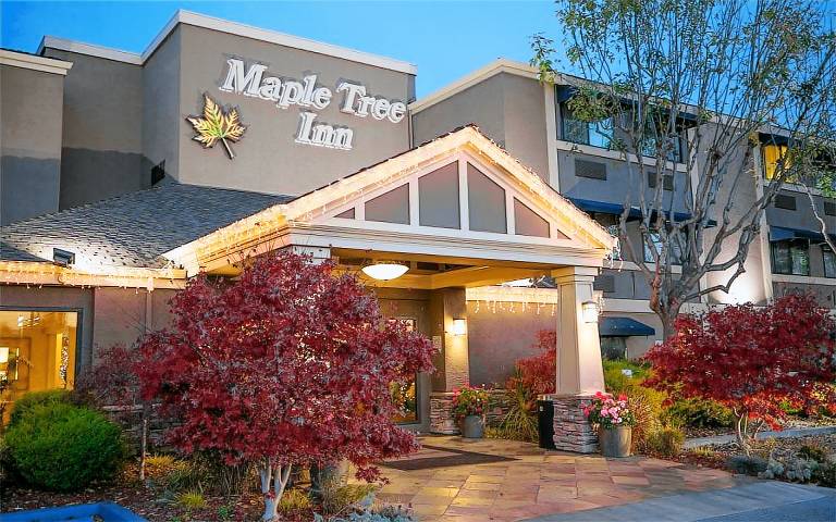 Maple Tree Inn Hotel — photo 3