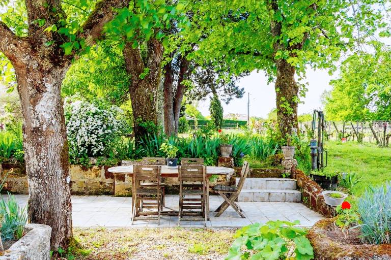 Authentic Stay at Château Vieux Mougnac: Organic Vineyard, Saint-Emilion, Wine & Relaxation — photo 2