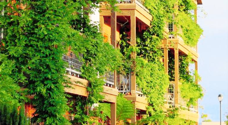 Napa River Inn — photo 3