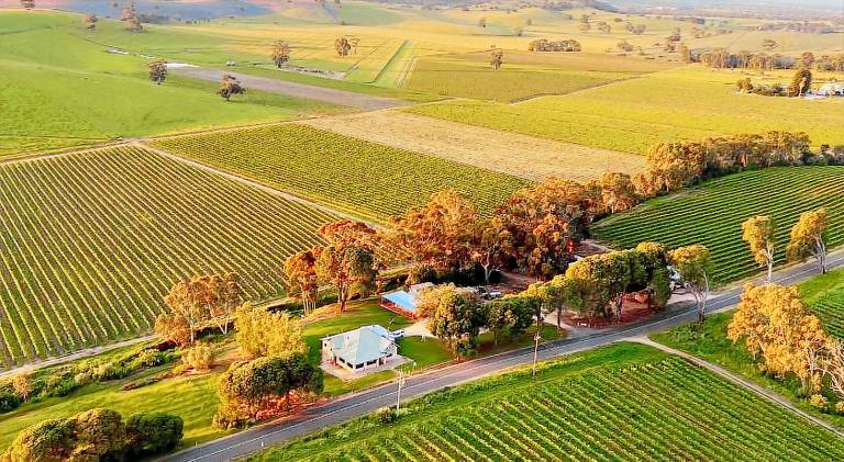 Norm s Vineyard Retreat