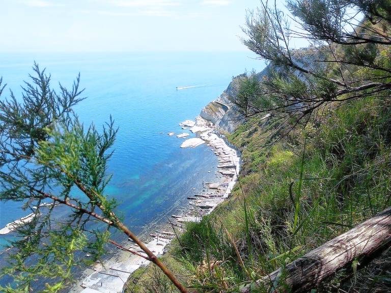 Appartamento Offagna