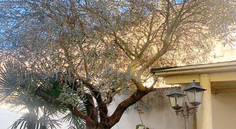 B&B Il Fiocinino — photo 5