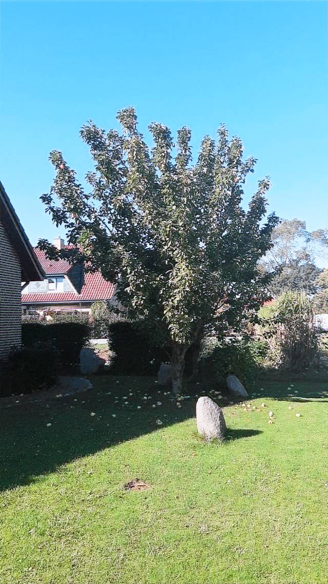 Traumhafte Ferien im Haus Inselglück – Entspannung und Abenteuer auf Fehmarn! — photo 3