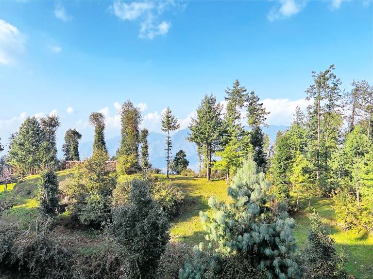 Villa with 3 rooms for 12 persons — photo 4