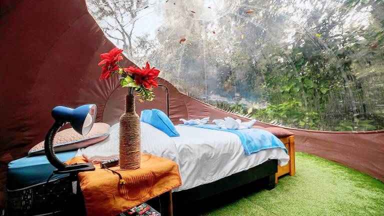 Intimate Bubbles with Outdoor Pool and Hot-Tub in Ecuador — photo 4