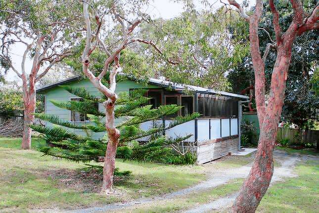House Wooli