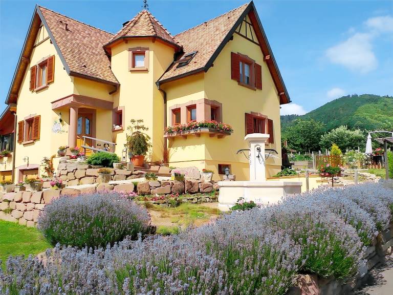 G&auml;stezimmer &bdquo;La Ch&acirc;telaine Pinot Noir&ldquo; mit Bergblick Gemeinschaftsterrasse & WLAN