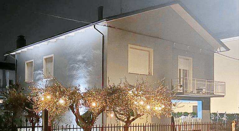 Parrot House in Forlì