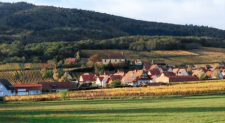 Wonderful holiday apartment | Pets are welcome in Strasbourg
