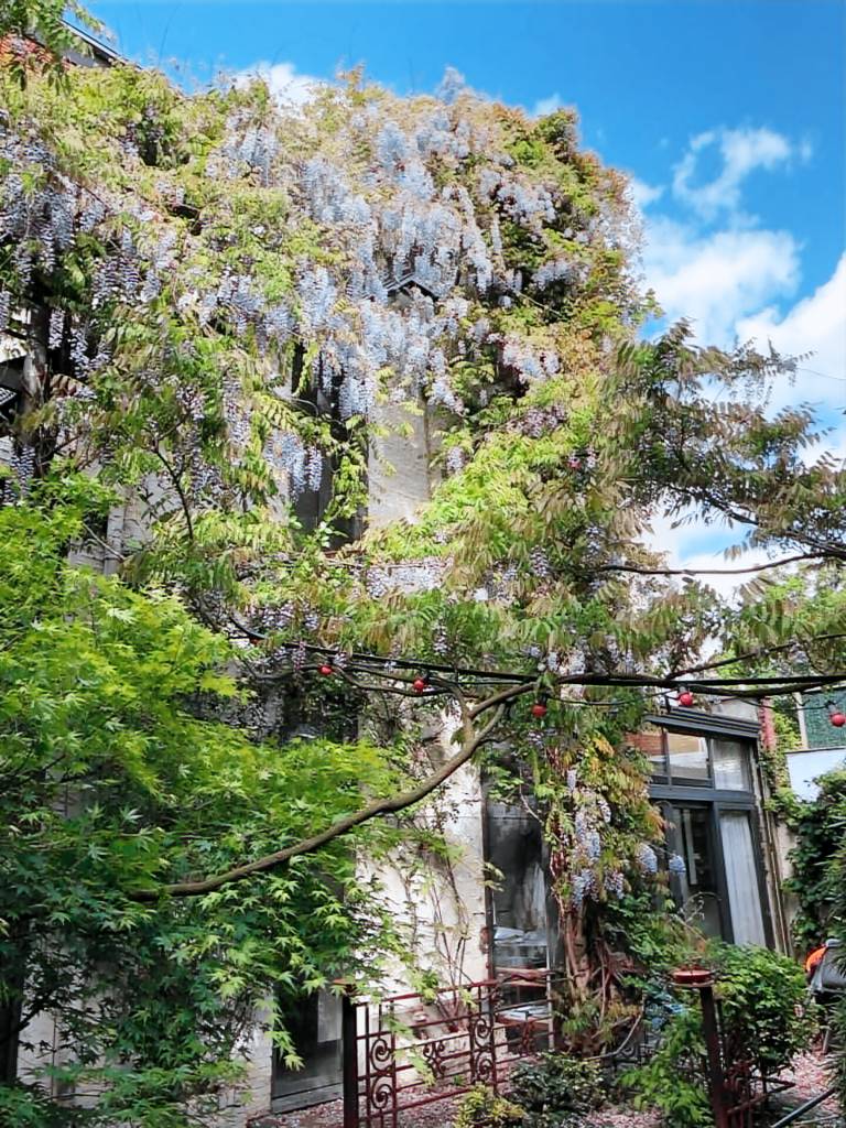 Ferienhaus  Borgerhout