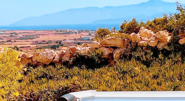 Charming vacation home with garden, patio & jacuzzi | Dogs allowed in Paros