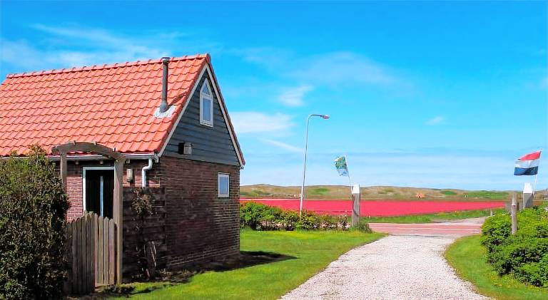 Vacation home with 1 room for 3 persons in Callantsoog