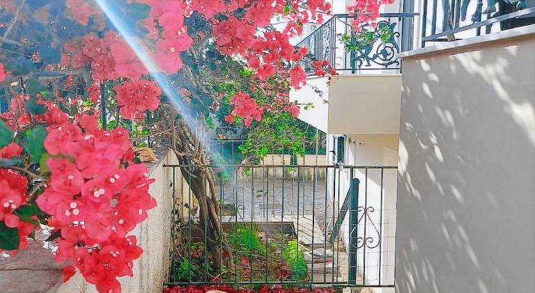 Apartment with terrace & yard in Kefalonia