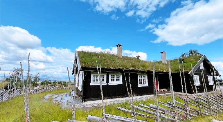 Chalet  Gol