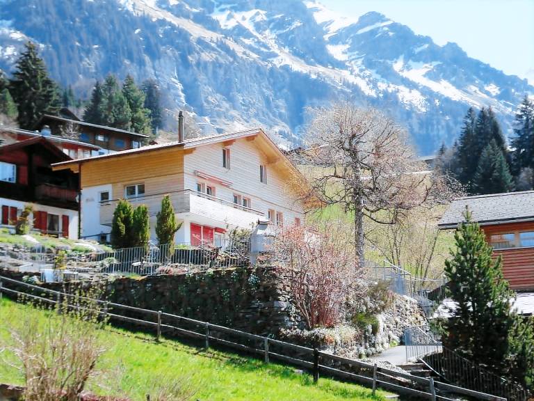 Apartment Jungfrau