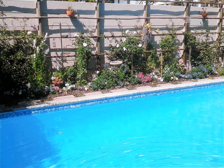 bed & breakfast  Rondebosch East
