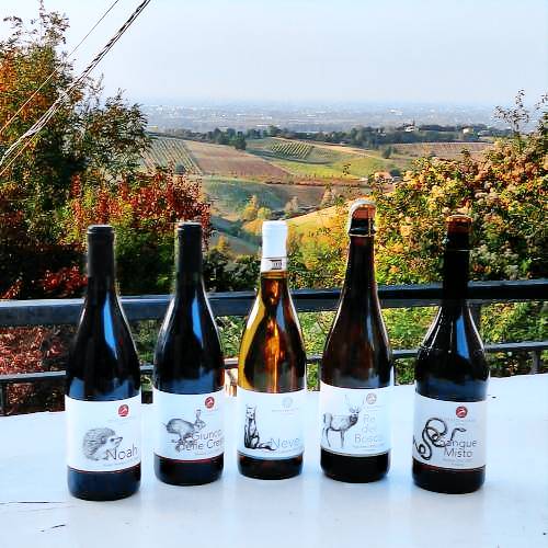 Agriturismo Valsamoggia