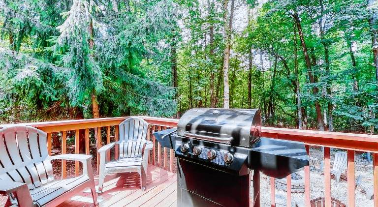 Spacious vacation home with jacuzzi | Dogs allowed in Helen, GA