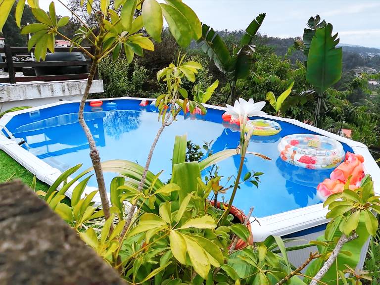 Ideal Villa in Vila Nova de Famalicão with Private Pool — photo 2