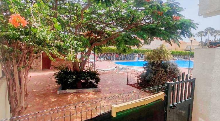 Rental apartment with pool | Pets are welcome — photo 5