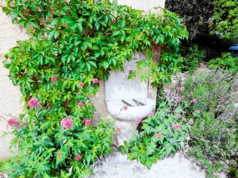 Pleasant vacation home with yard, patio & private pool | Nature view | Pets allowed — photo 5