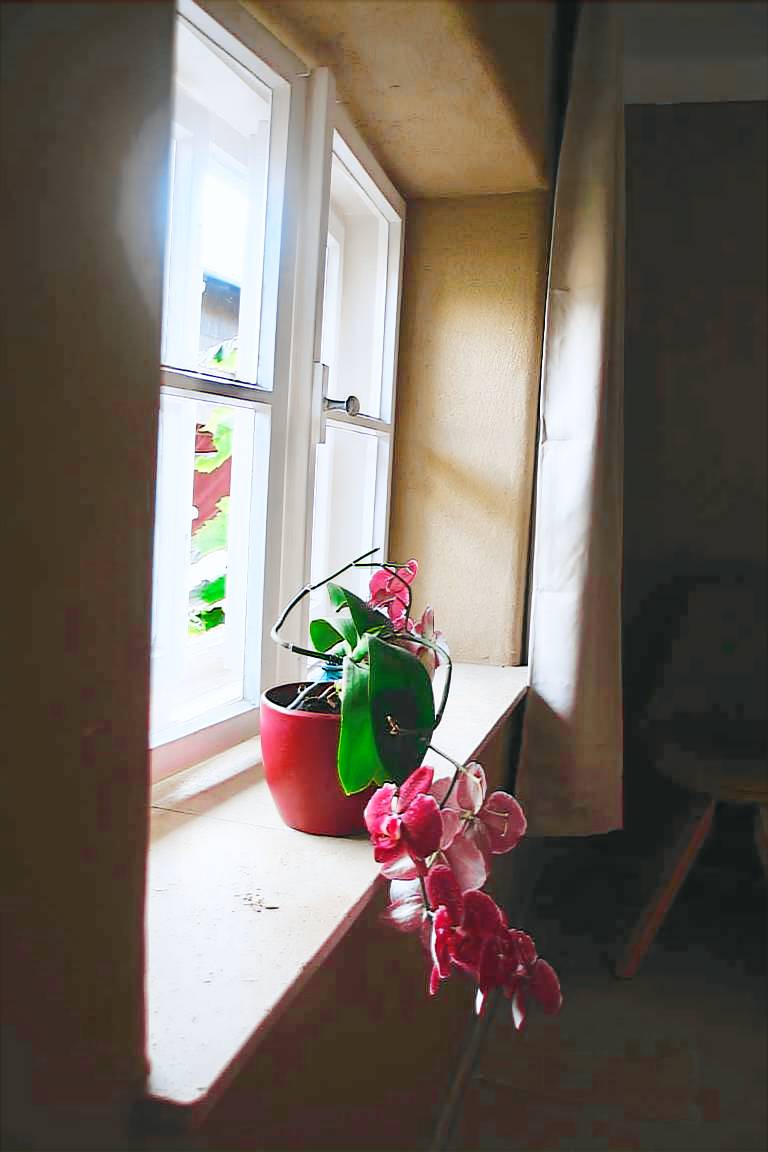 foto3