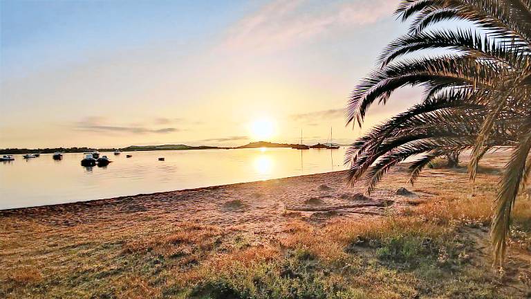Camping Suarto Route de Palombaggia