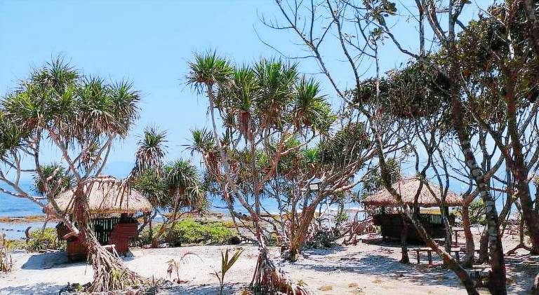 Elviera Resort — photo 5