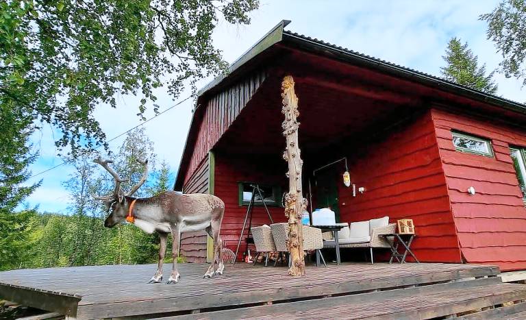 Hut Sørreisa