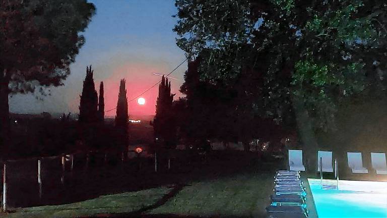 Le Siepi: Camera Blu — photo 2