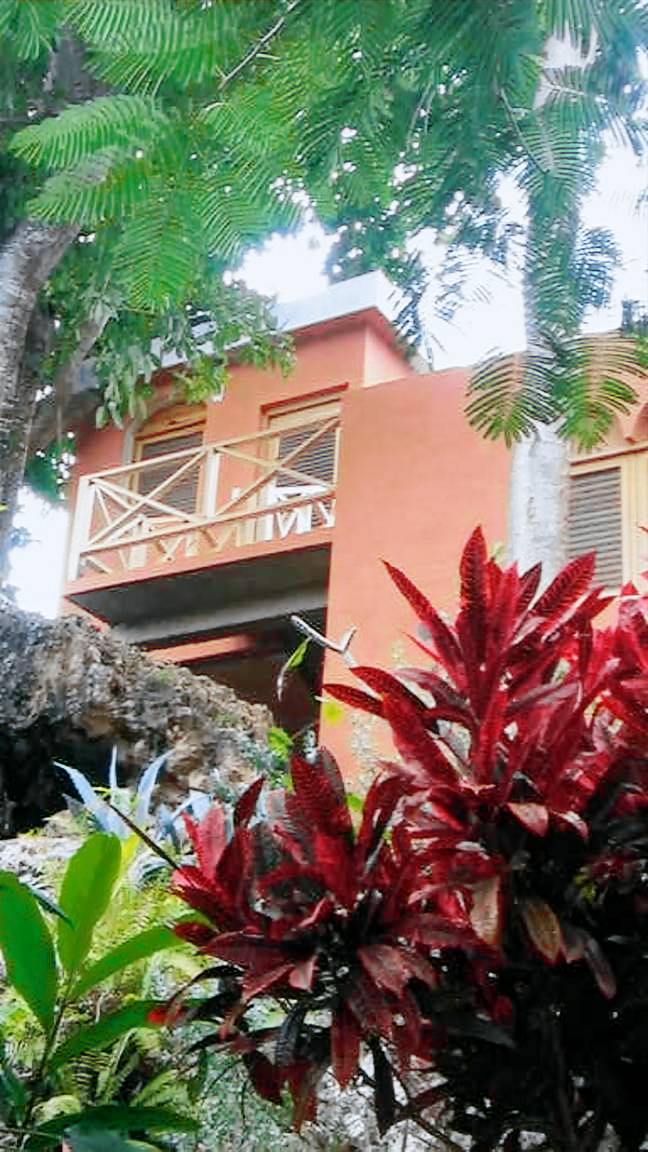 Welcoming House in Las Galeras with Stunning Sea View — photo 2