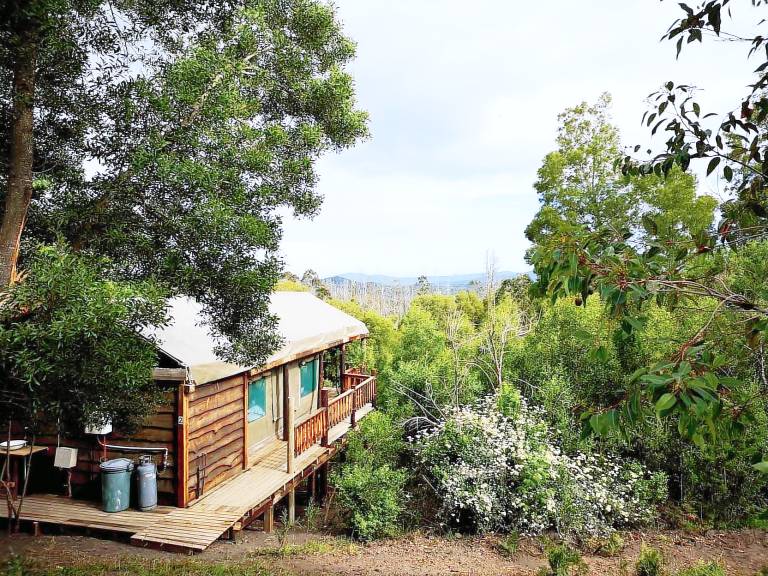 Camping Knysna
