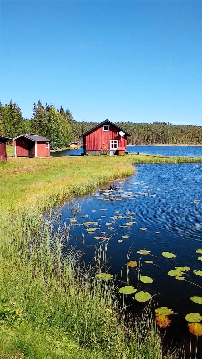 House with BBQ, garden & sauna — photo 2