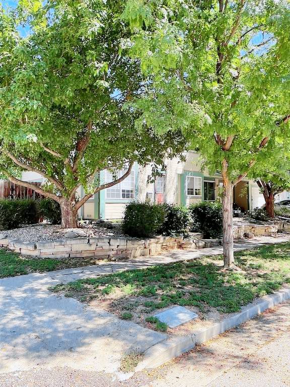 House Loveland