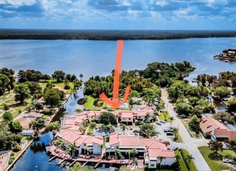 Condo Palm Harbor