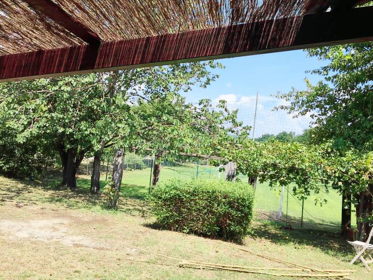 Chalet Orte