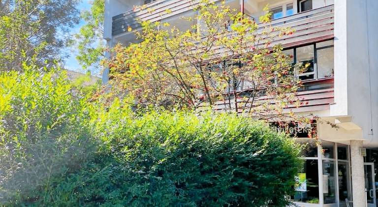 Nice rental apartment | Pets are welcome — photo 4
