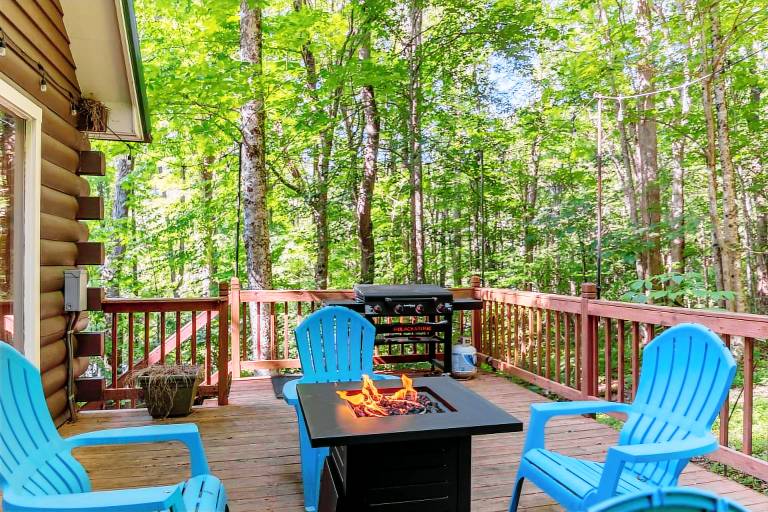 Cabin with grill | Mountain view — photo 2