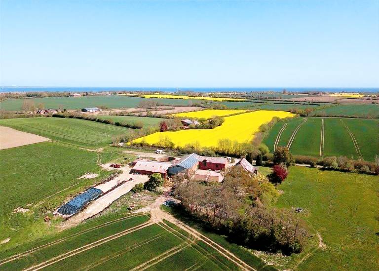 Ferienwohnung Falshöft