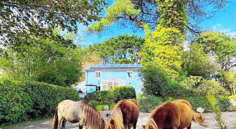 Rental apartment with garden, barbeque & patio in St. Austell