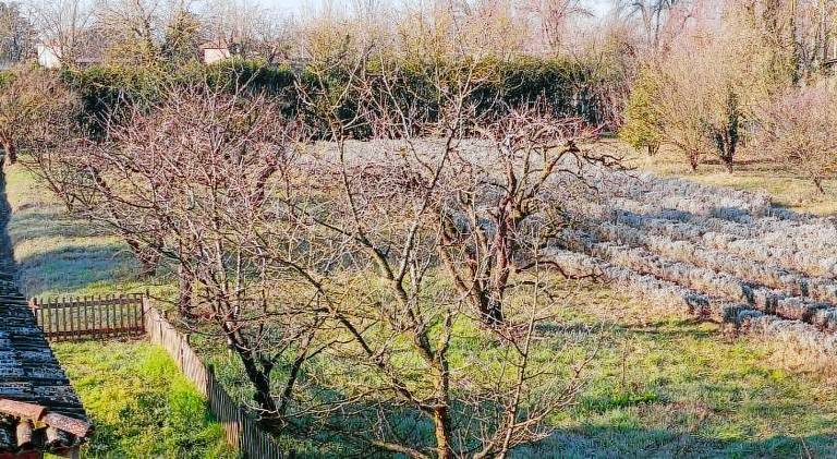 Podere Misericordia — photo 5