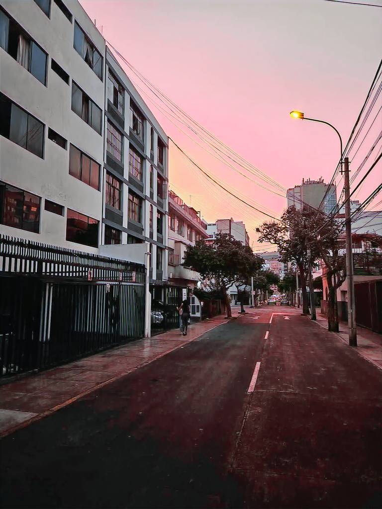 Apartment | Pets are welcome in Lima