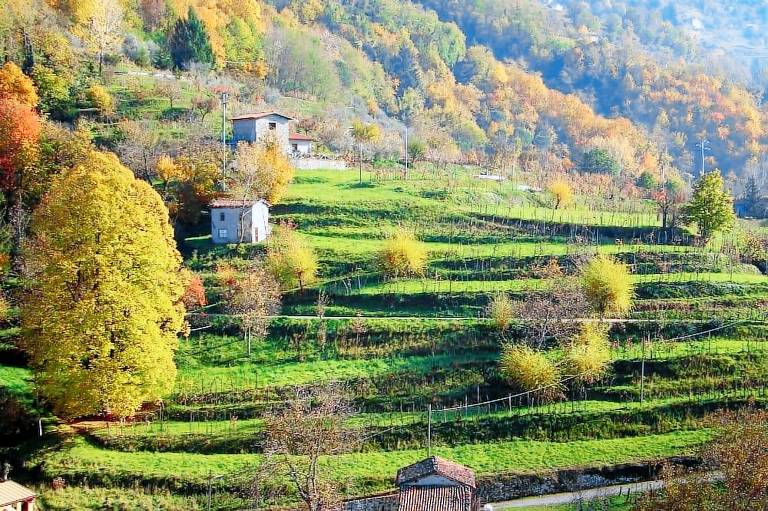 Bed & Breakfast Gallicano