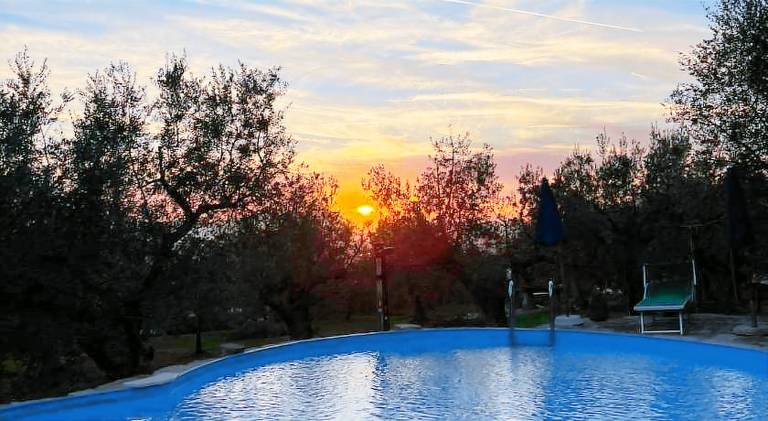 Farm with barbeque, pool & garden — photo 5