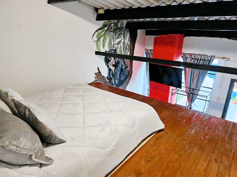 Casa Samor — photo 4