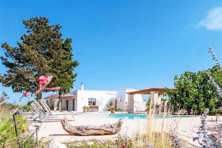 Villa among olive trees, private pool and patio in Ostuni