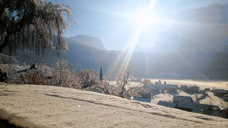 Ferienwohnung in Bizau für max. 2 Gäste Ferienwohnung in Bizau für max. 2 Gäste