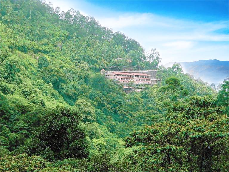 Resort Munnar