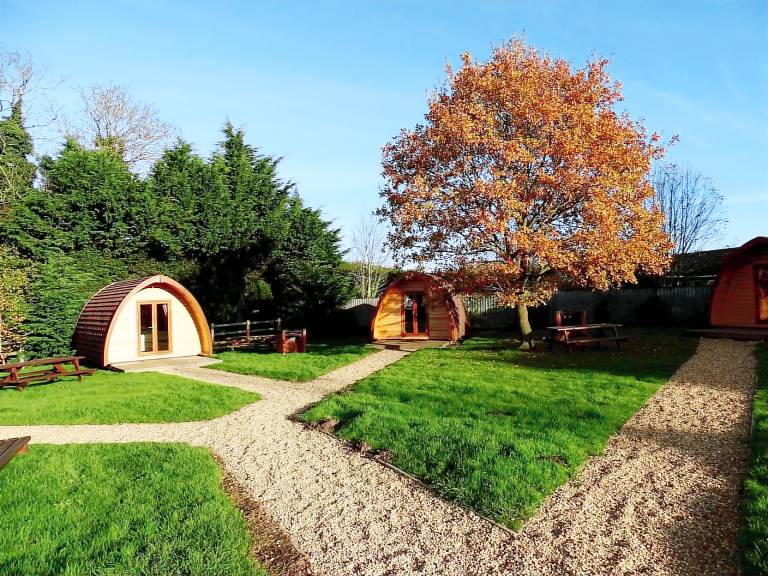 Camping  King's Lynn